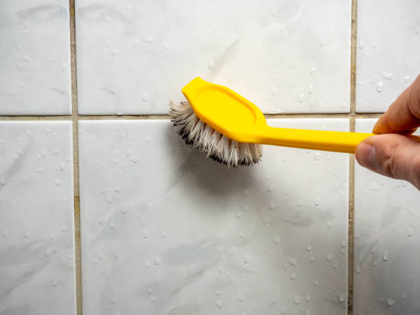 Best Office Mold Removal Services  in Blue Ridge, AL