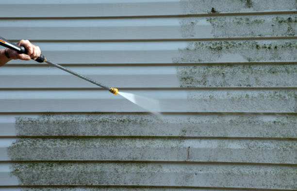 Best Residential Mold Removal  in Blue Ridge, AL